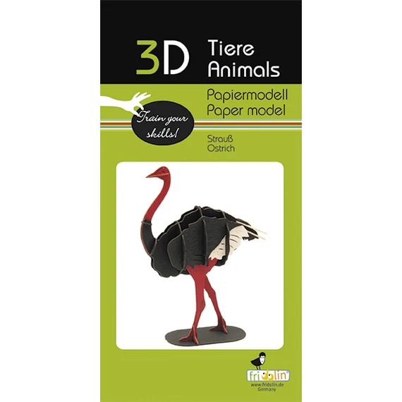 3D papírmakett strucc
