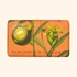 Kew Gardens bergamot és gyömbér illatú szappan The English Soap Company