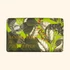 Kew Gardens szantálfa és rózsabors illatú szappan The English Soap Company